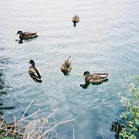 Gite Le Moulin * Dannes